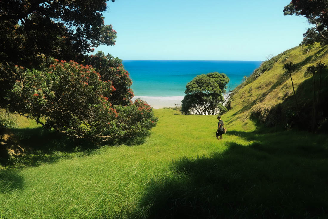 Naked On A Beach In New Zealand Nut Brown Rose