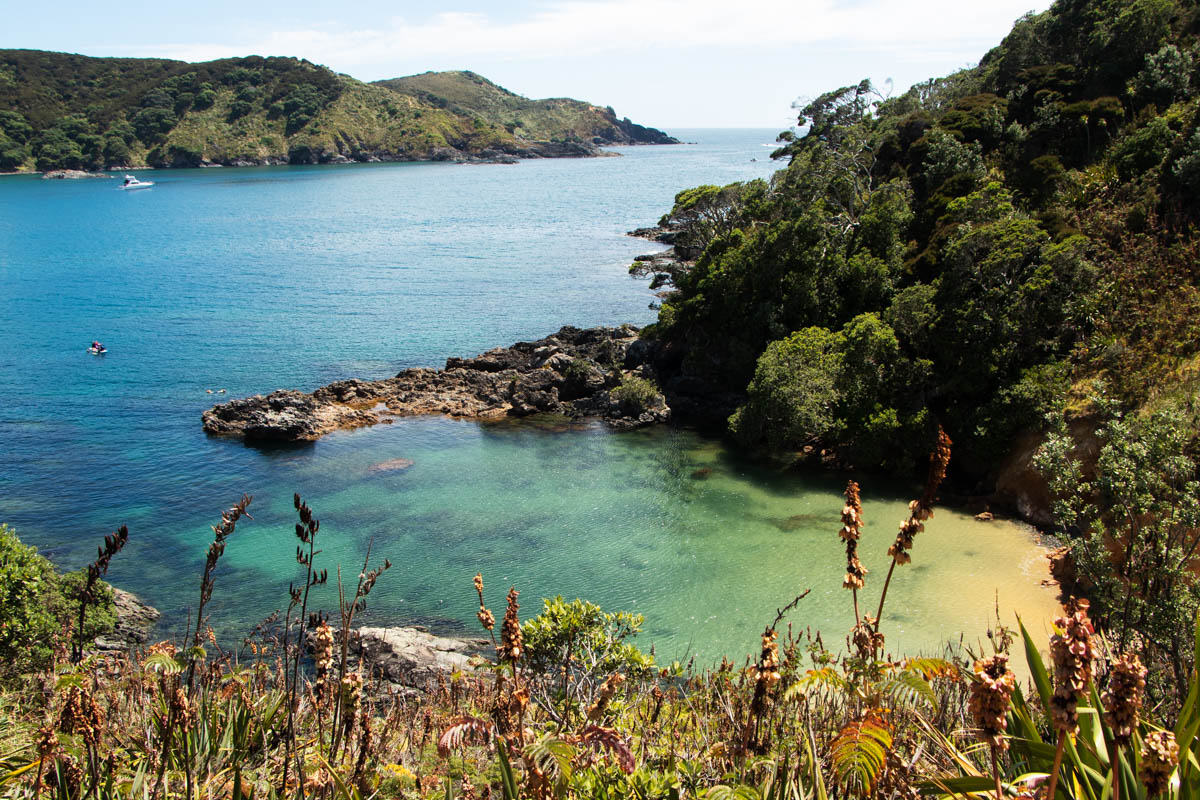 12 Photos and 6 Reasons to Convince You to Visit Karikari Peninsula, New Zealand - Nut Brown Rose